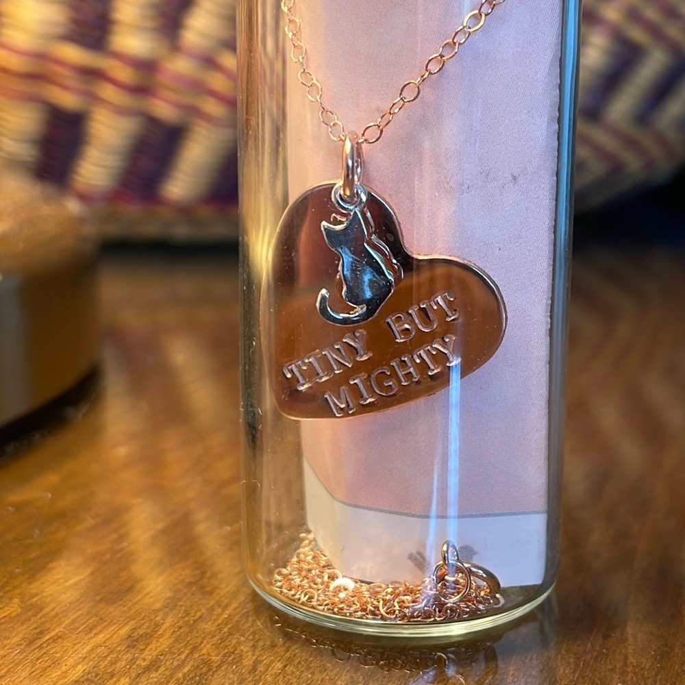 Tiny but mighty kitten and heart necklace